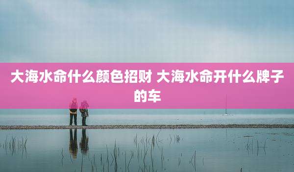 大海水命什么颜色招财 大海水命开什么牌子的车