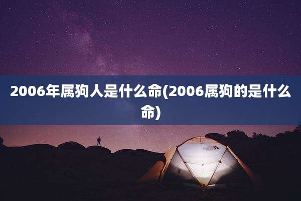 2006年属狗人是什么命(2006属狗的是什么命)