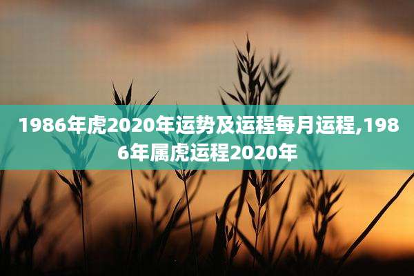 1986年虎2020年运势及运程每月运程,1986年属虎运程2020年