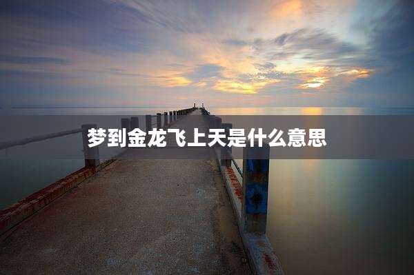 梦到金龙飞上天是什么意思