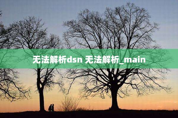 无法解析dsn 无法解析_main