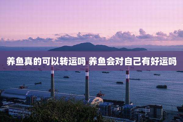 养鱼真的可以转运吗 养鱼会对自己有好运吗