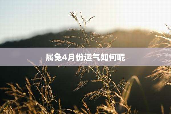 属兔4月份运气如何呢