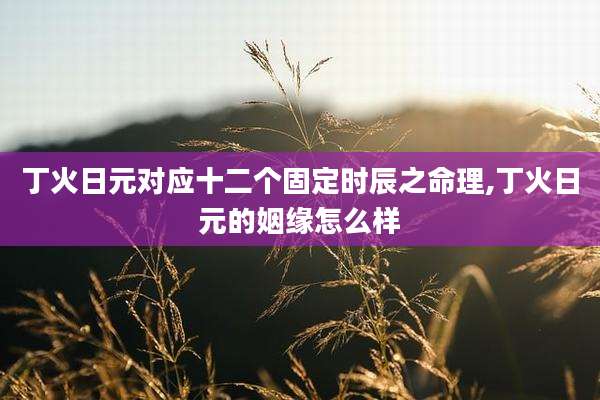 丁火日元对应十二个固定时辰之命理,丁火日元的姻缘怎么样