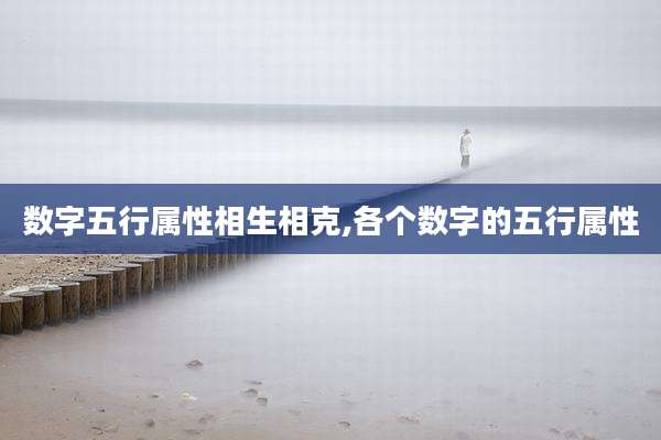 数字五行属性相生相克,各个数字的五行属性