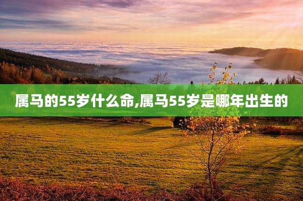 属马的55岁什么命,属马55岁是哪年出生的