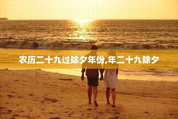 农历二十九过除夕年份,年二十九除夕
