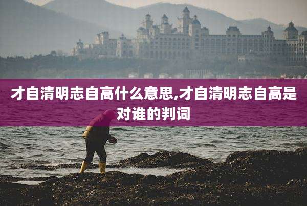 才自清明志自高什么意思,才自清明志自高是对谁的判词