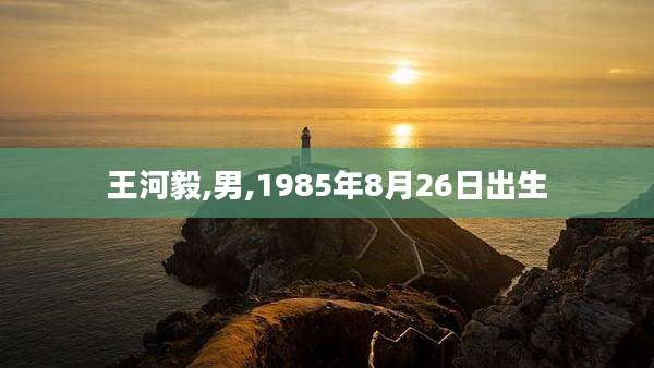 王河毅,男,1985年8月26日出生