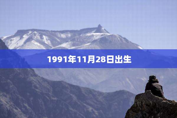 1991年11月28日出生