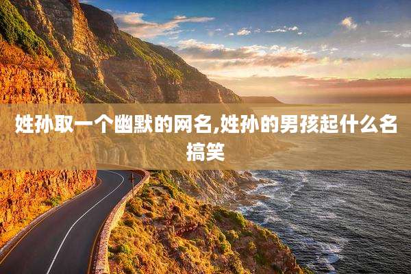 姓孙取一个幽默的网名,姓孙的男孩起什么名搞笑