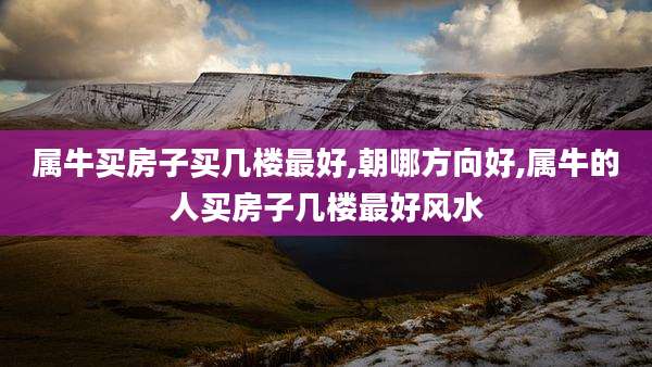 属牛买房子买几楼最好,朝哪方向好,属牛的人买房子几楼最好风水