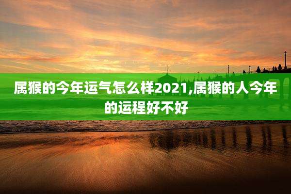 属猴的今年运气怎么样2021,属猴的人今年的运程好不好