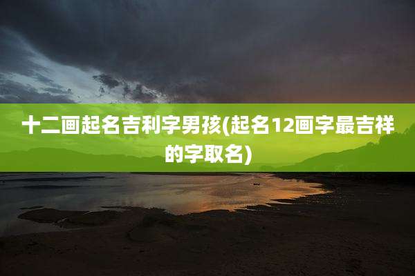 十二画起名吉利字男孩(起名12画字最吉祥的字取名)