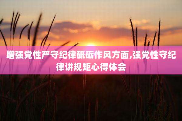 增强党性严守纪律砥砺作风方面,强党性守纪律讲规矩心得体会