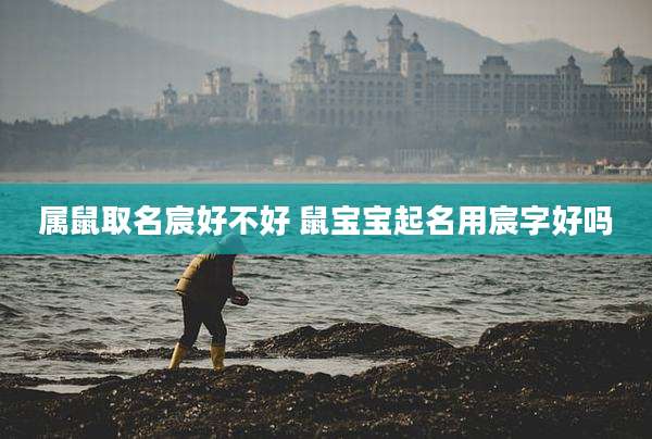 属鼠取名宸好不好 鼠宝宝起名用宸字好吗