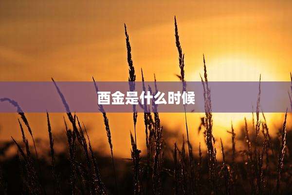 酉金是什么时候