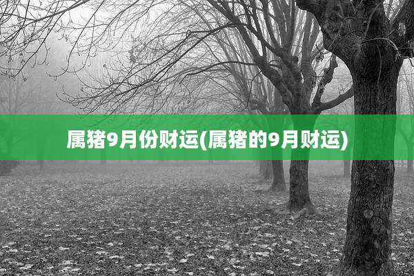 属猪9月份财运(属猪的9月财运)