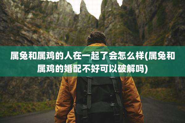 属兔和属鸡的人在一起了会怎么样(属兔和属鸡的婚配不好可以破解吗)