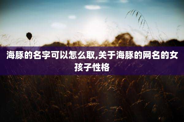 海豚的名字可以怎么取,关于海豚的网名的女孩子性格