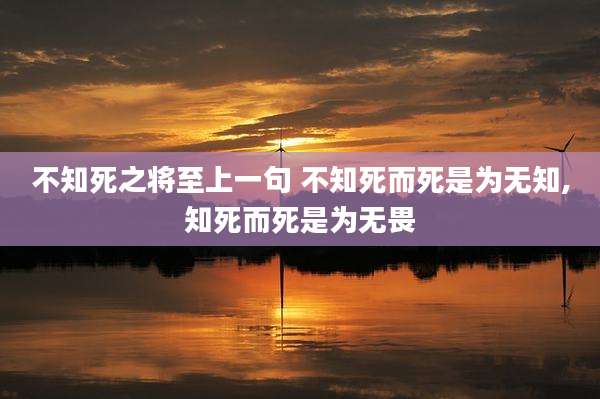 不知死之将至上一句 不知死而死是为无知,知死而死是为无畏