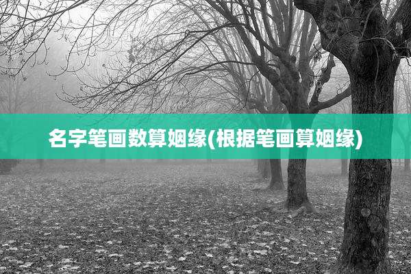 名字笔画数算姻缘(根据笔画算姻缘)