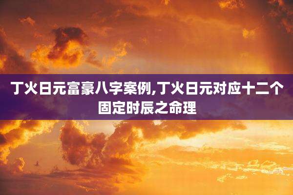 丁火日元富豪八字案例,丁火日元对应十二个固定时辰之命理