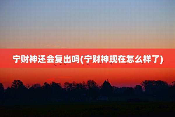 宁财神还会复出吗(宁财神现在怎么样了)