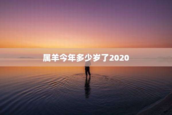 属羊今年多少岁了2020