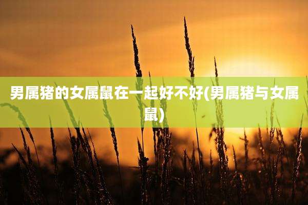 男属猪的女属鼠在一起好不好(男属猪与女属鼠)