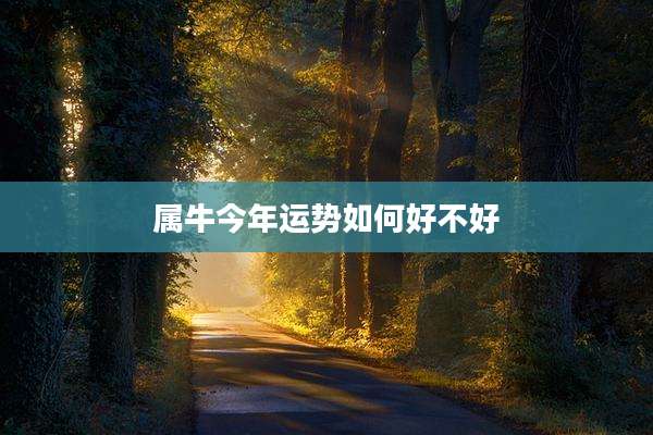 属牛今年运势如何好不好