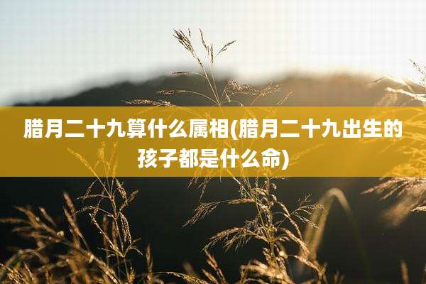 腊月二十九算什么属相(腊月二十九出生的孩子都是什么命)
