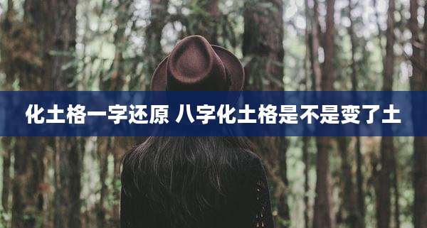 化土格一字还原 八字化土格是不是变了土