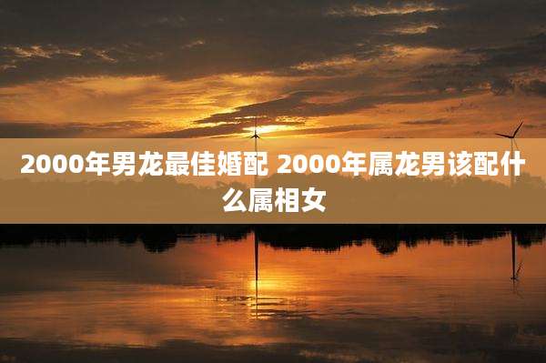 2000年男龙最佳婚配 2000年属龙男该配什么属相女