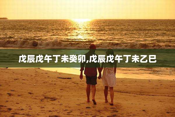 戊辰戊午丁未癸卯,戊辰戊午丁未乙巳