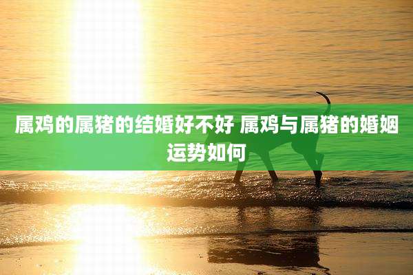 属鸡的属猪的结婚好不好 属鸡与属猪的婚姻运势如何