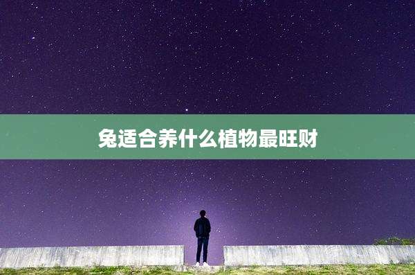 兔适合养什么植物最旺财