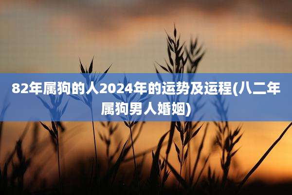 82年属狗的人2024年的运势及运程(八二年属狗男人婚姻)