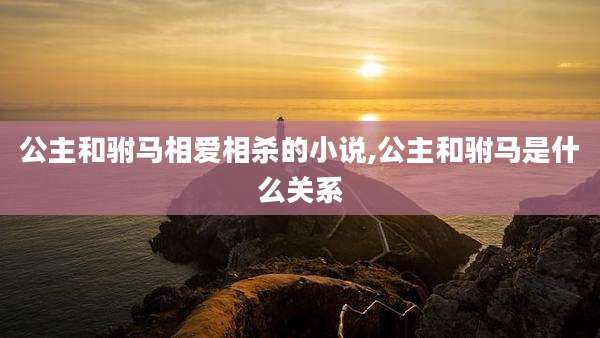 公主和驸马相爱相杀的小说,公主和驸马是什么关系