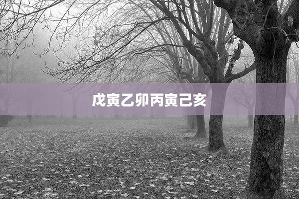 戊寅乙卯丙寅己亥