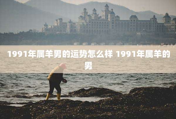 1991年属羊男的运势怎么样 1991年属羊的男