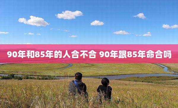 90年和85年的人合不合 90年跟85年命合吗
