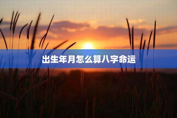 出生年月怎么算八字命运