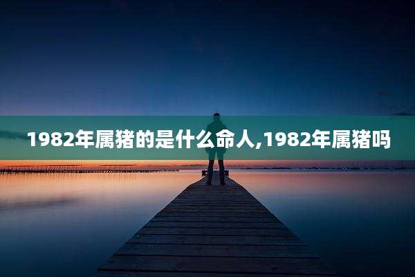 1982年属猪的是什么命人,1982年属猪吗