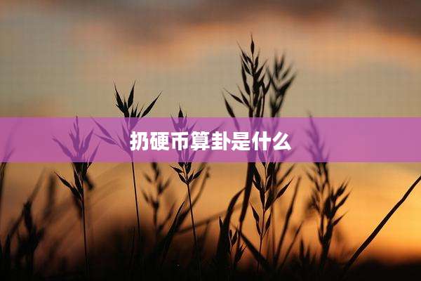 扔硬币算卦是什么