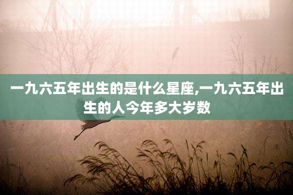 一九六五年出生的是什么星座,一九六五年出生的人今年多大岁数