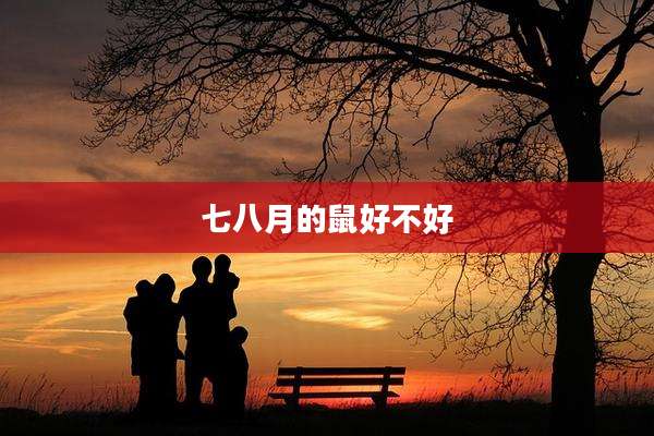 七八月的鼠好不好