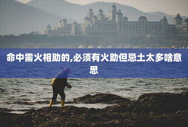 命中需火相助的,必须有火助但忌土太多啥意思