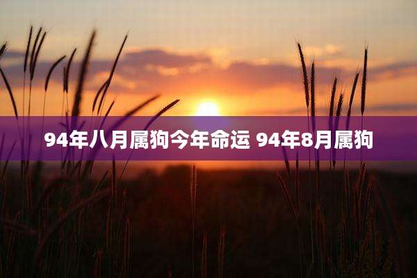 94年八月属狗今年命运 94年8月属狗