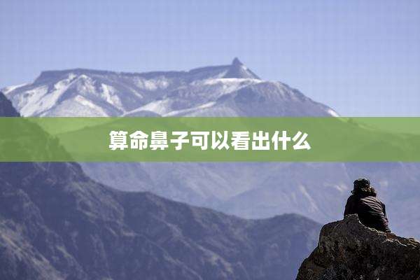 算命鼻子可以看出什么